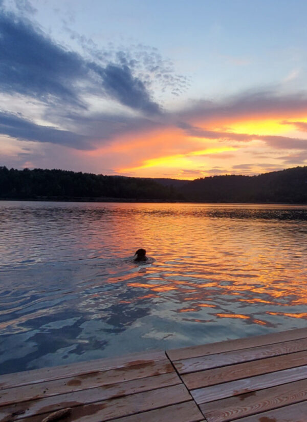 Visitors & Recreation bensonvermont.gov