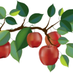 Benson Family Day & Cobble Knoll Orchard Apple Pie Contest
